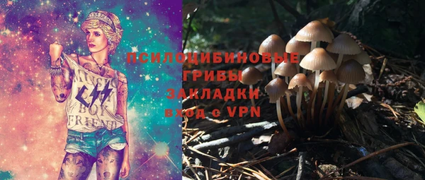 гидропоника Армянск