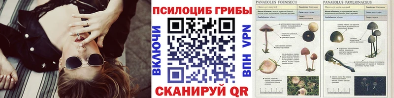 Псилоцибиновые грибы GOLDEN TEACHER  Сорочинск 